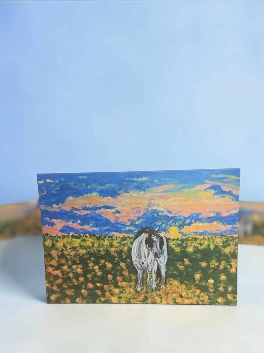 Horse in Wildflower Sunset Meadow Blank Greeting Cards 5 Pack